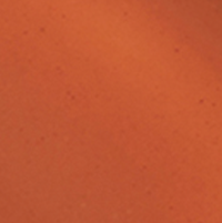 Brown Berry